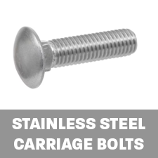 SS Carriage Bolts